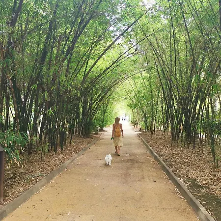 Home2book Center Cruz, Wifi 아파트 산타크루스데 테네리페