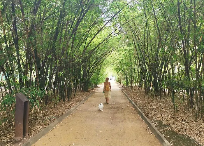 Home2book Center Cruz, Wifi Appartement Santa-Cruz de Ténérife